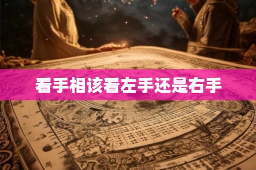 看手相该看左手还是右手