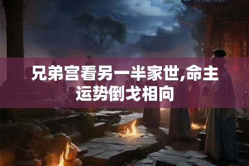兄弟宫看另一半家世,命主运势倒戈相向
