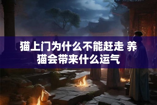 猫上门为什么不能赶走 养猫会带来什么运气