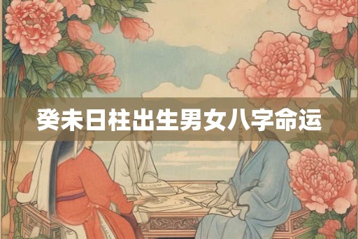 癸未日柱出生男女八字命运