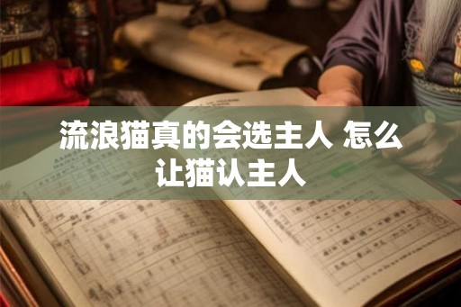 流浪猫真的会选主人 怎么让猫认主人