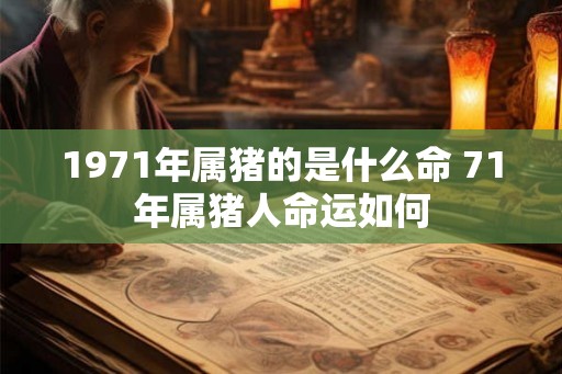 1971年属猪的是什么命 71年属猪人命运如何