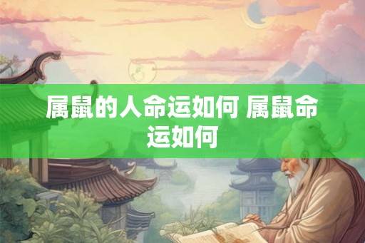 属鼠的人命运如何 属鼠命运如何