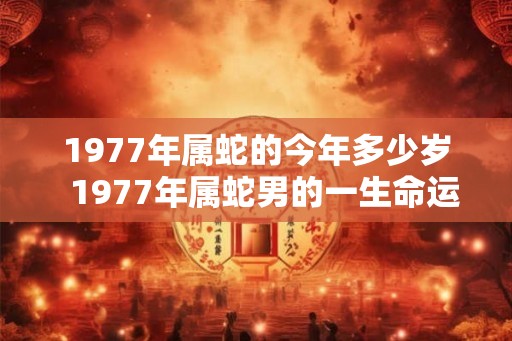 1977年属蛇的今年多少岁  1977年属蛇男的一生命运