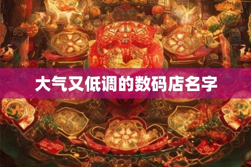 大气又低调的数码店名字