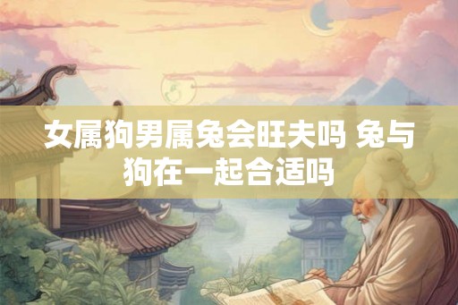 女属狗男属兔会旺夫吗 兔与狗在一起合适吗