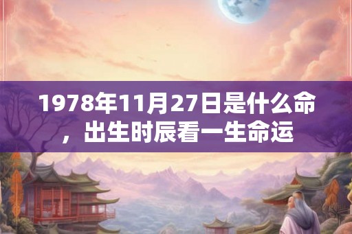 1978年11月27日是什么命，出生时辰看一生命运