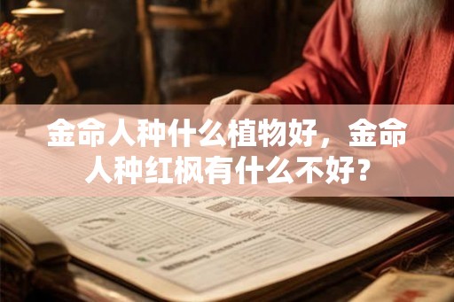 金命人种什么植物好，金命人种红枫有什么不好？