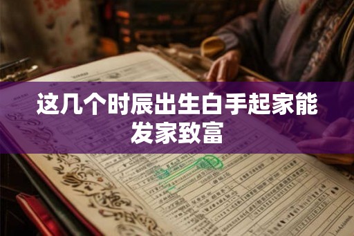 这几个时辰出生白手起家能发家致富