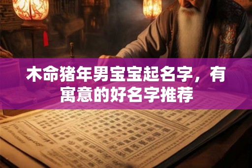 木命猪年男宝宝起名字，有寓意的好名字推荐