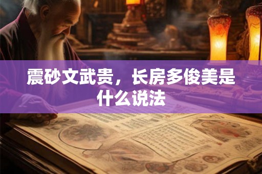 震砂文武贵，长房多俊美是什么说法