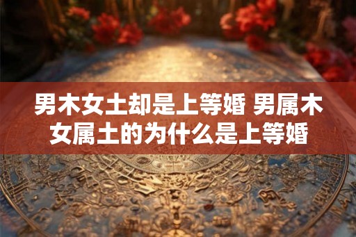 男木女土却是上等婚 男属木女属土的为什么是上等婚