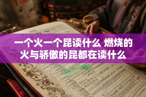 一个火一个昆读什么 燃烧的火与骄傲的昆都在读什么 一个火一个昆读什么 燃烧的火与骄傲的昆都在读什么