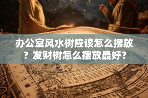 办公室风水树应该怎么摆放？发财树怎么摆放最好？