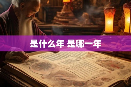 是什么年 是哪一年 是什么年 是哪一年