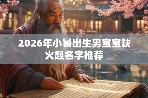 2026年小暑出生男宝宝缺火起名字推荐 2026年小暑出生男宝宝缺火起名字推荐