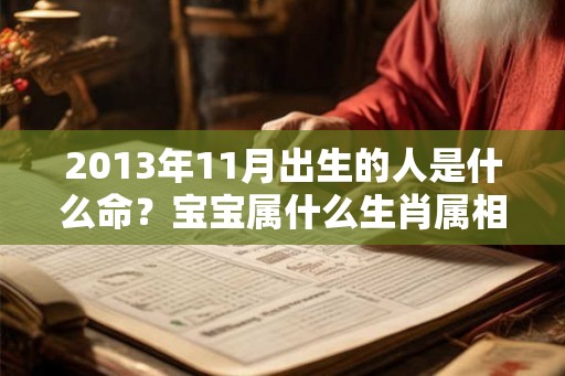 2013年11月出生的人是什么命？宝宝属什么生肖属相？