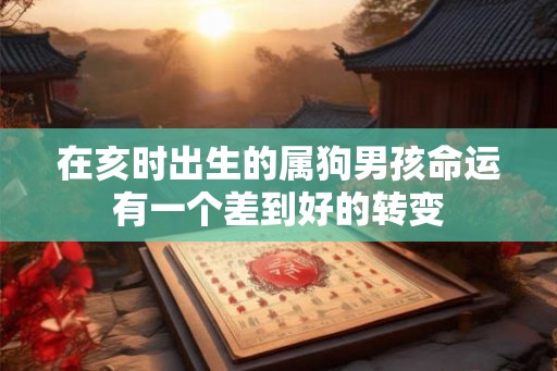在亥时出生的属狗男孩命运有一个差到好的转变 在亥时出生的属狗男孩命运有一个差到好的转变