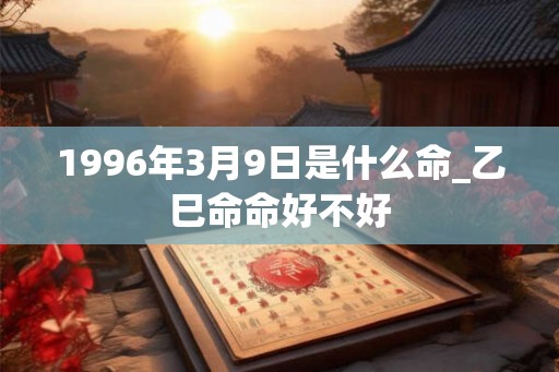 1996年3月9日是什么命_乙巳命命好不好