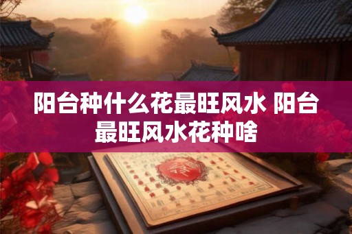 阳台种什么花最旺风水 阳台最旺风水花种啥