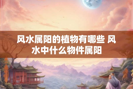 风水属阳的植物有哪些 风水中什么物件属阳