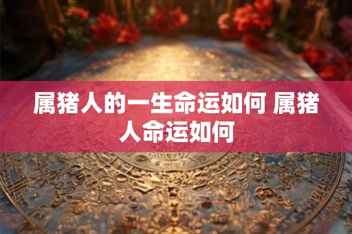 属猪人的一生命运如何 属猪人命运如何