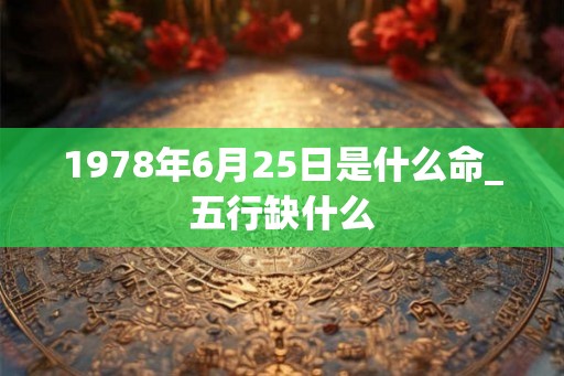 1978年6月25日是什么命_五行缺什么