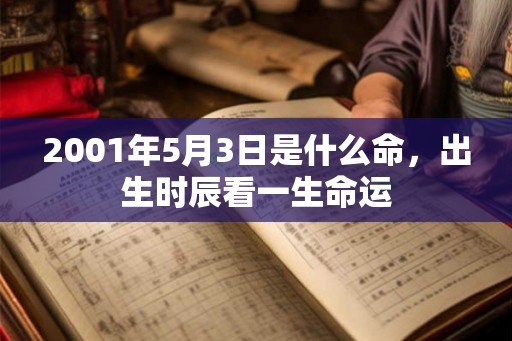 2001年5月3日是什么命,出生时辰看一生命运 2001年5月3日是什么命,出生时辰看一生命运