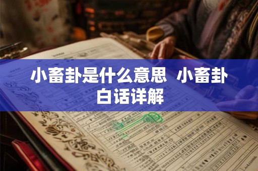 小畜卦是什么意思  小畜卦白话详解
