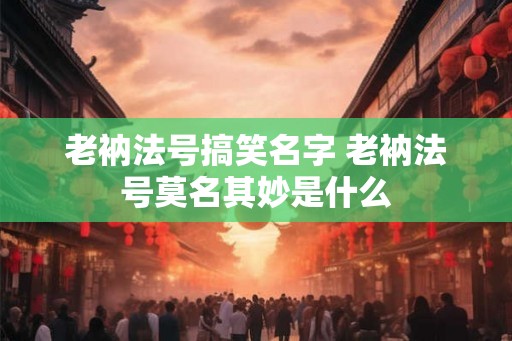 老衲法号搞笑名字 老衲法号莫名其妙是什么