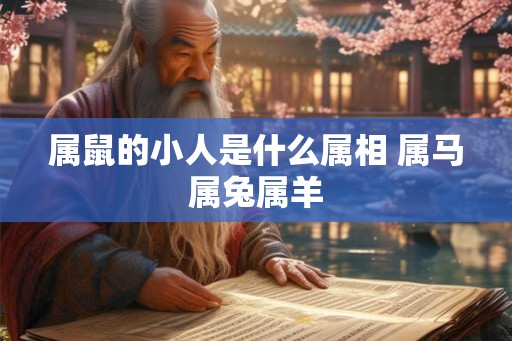 属鼠的小人是什么属相 属马属兔属羊