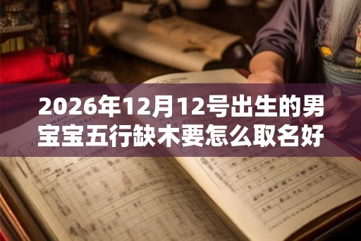 2026年12月12号出生的男宝宝五行缺木要怎么取名好