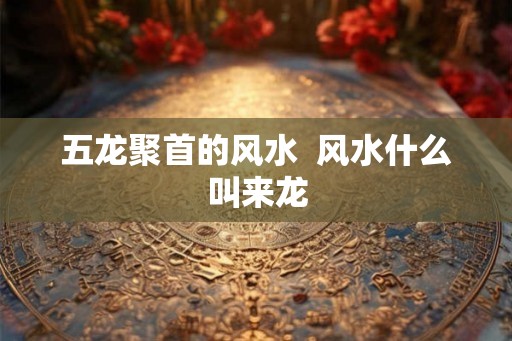 五龙聚首的风水  风水什么叫来龙
