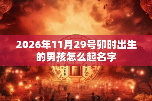 2026年11月29号卯时出生的男孩怎么起名字