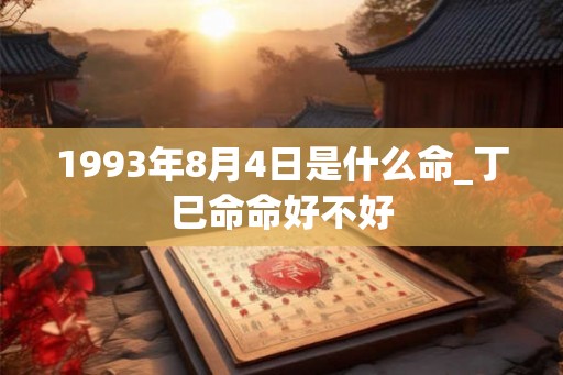 1993年8月4日是什么命_丁巳命命好不好