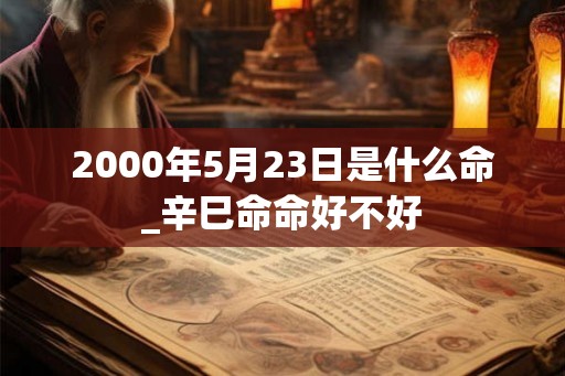 2000年5月23日是什么命_辛巳命命好不好