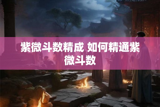 紫微斗数精成 如何精通紫微斗数