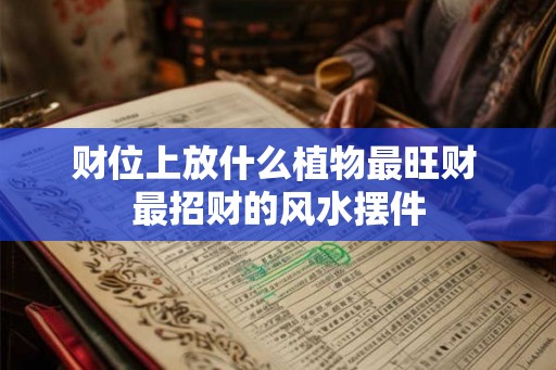 财位上放什么植物最旺财 最招财的风水摆件