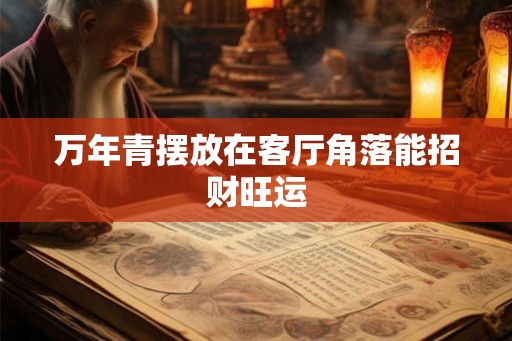万年青摆放在客厅角落能招财旺运