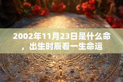 2002年11月23日是什么命,出生时辰看一生命运 2002年11月23日是什么命,出生时辰看一生命运