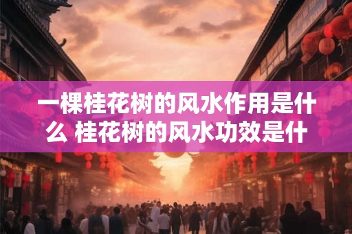 一棵桂花树的风水作用是什么 桂花树的风水功效是什么
