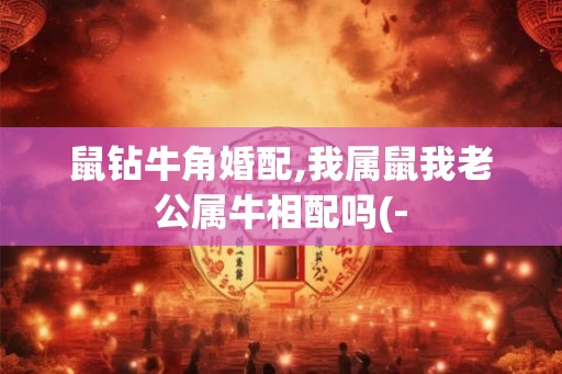 鼠钻牛角婚配,我属鼠我老公属牛相配吗(- 鼠钻牛角婚配,我属鼠我老公属牛相配吗(-
