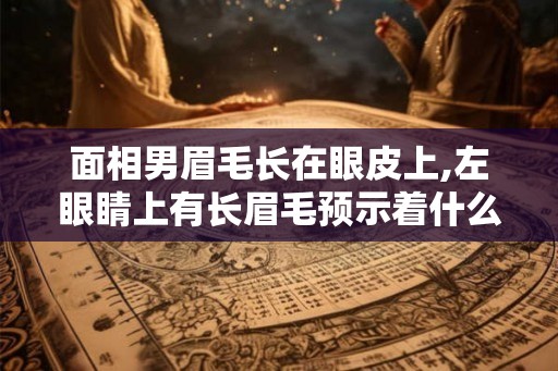 面相男眉毛长在眼皮上,左眼睛上有长眉毛预示着什么？