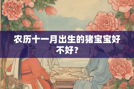 农历十一月出生的猪宝宝好不好？