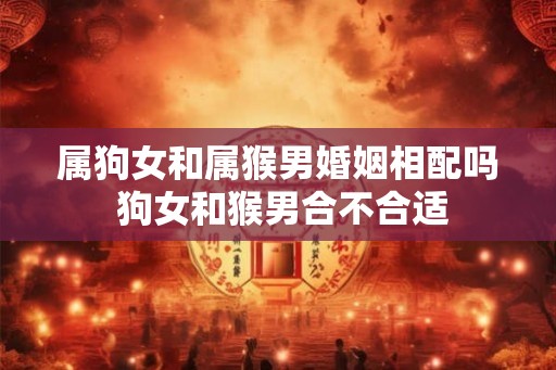 属狗女和属猴男婚姻相配吗 狗女和猴男合不合适 属狗女和属猴男婚姻相配吗 狗女和猴男合不合适