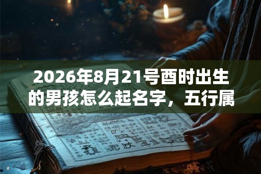 2026年8月21号酉时出生的男孩怎么起名字，五行属什么