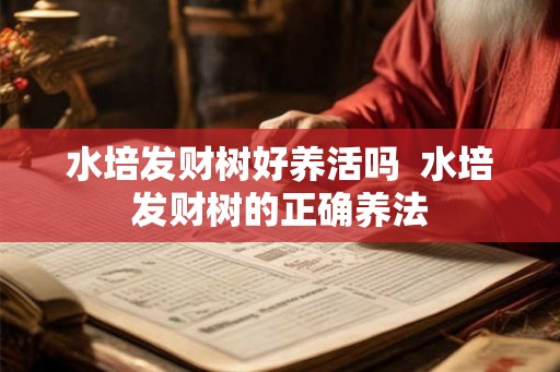 水培发财树好养活吗  水培发财树的正确养法