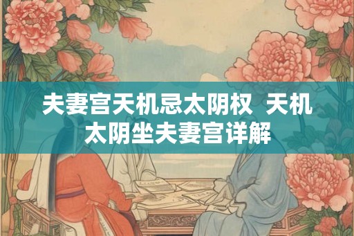 夫妻宫天机忌太阴权  天机太阴坐夫妻宫详解