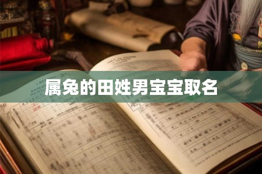 属兔的田姓男宝宝取名