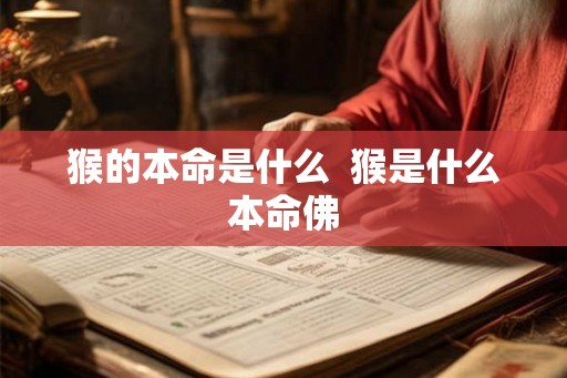 猴的本命是什么  猴是什么本命佛